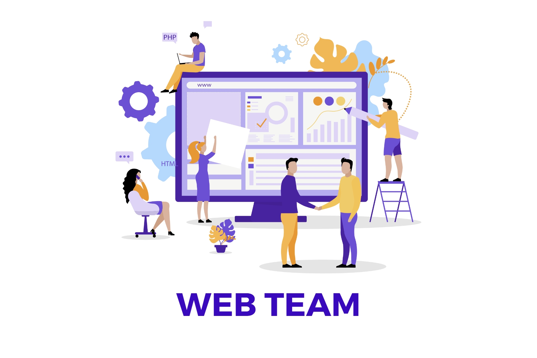 web team